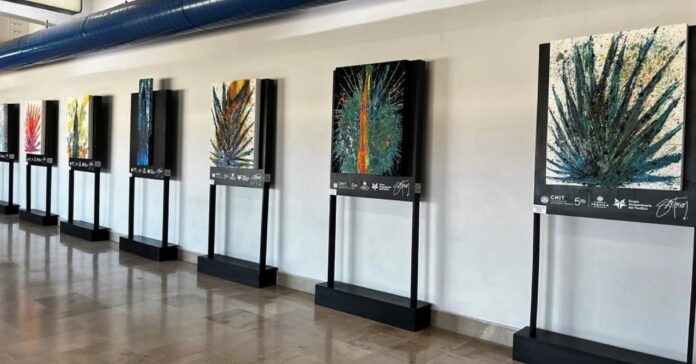 Art-exhibit-dedicated-to-National-Tequila-Day-opens-at-Puerto-Vallarta-Airport