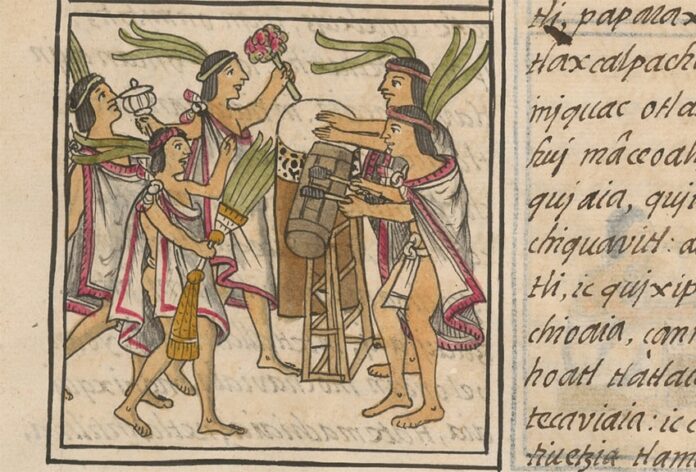 drummers850