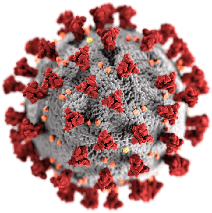 SARS-CoV-2_without_background