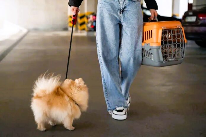 front-view-woman-with-cute-dog
