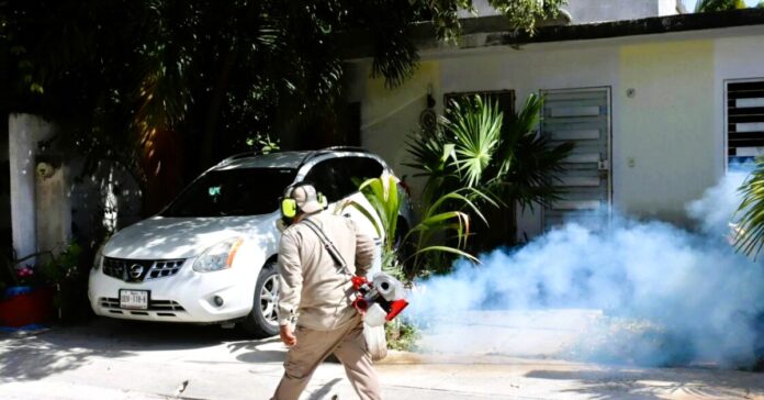 Dengue-Infections-Persist-in-Puerto-Vallarta-with-107-Confirmed-Cases