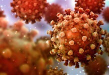 Study: Nasal COVID-19 Vaccine Halts Transmission