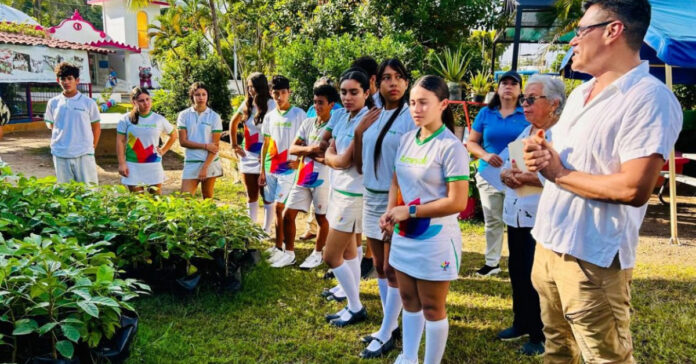 Trees-donated-to-reforest-Puerto-Vallarta