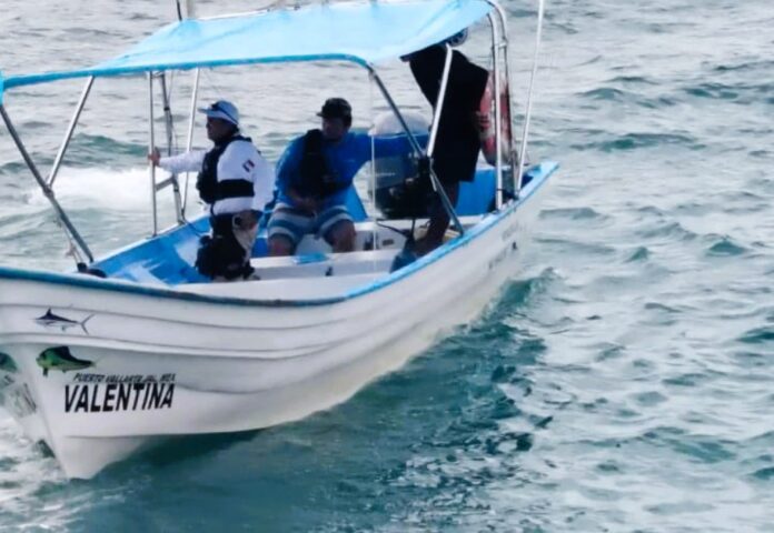 Puerto-Vallarta-whale-collision-kills-local-expat