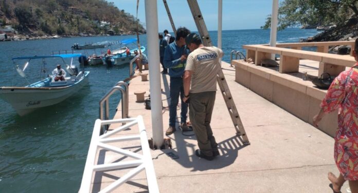 Clausuran-obras-en-muelle-de-Boca-de-Tomatlan4-1000x540