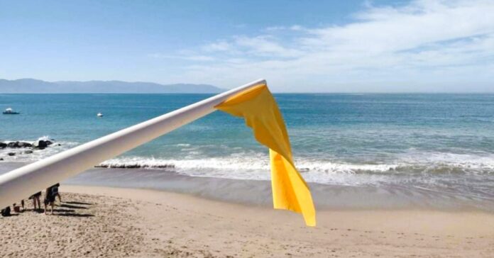 yellow-flag