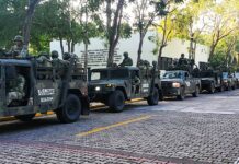 Federal Prosecutors to Monitor Organized Crime in Vallarta During World Cup