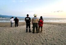 Man Killed in Crocodile Attack on Marina Vallarta Beach