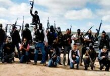 UN Report Places Mexican Cartels at Center of Global Drug Networks