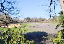 Experts: Laguna El Coapinole Isn’t Dying