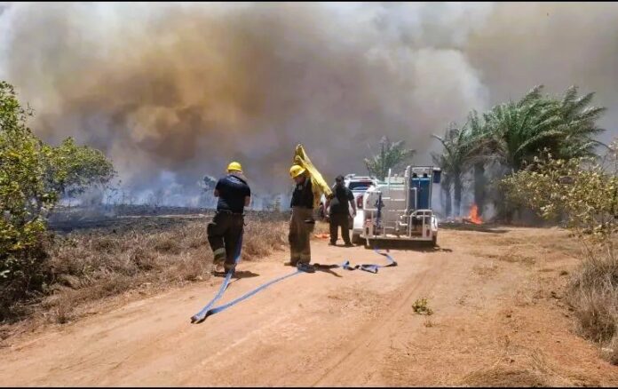 puerto_vallarta_incendio_version1780167245923.jpeg_278508242