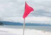 Red and Purple Flags Flying at Five Puerto Vallarta Beaches