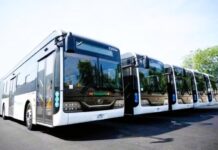 Jalisco Transport Discount Card: Senior Citizens Must Register by Friday