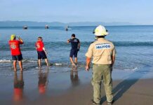 Jalisco Expands Crocodile Safety Measures After Fatal Marina Vallarta Attack