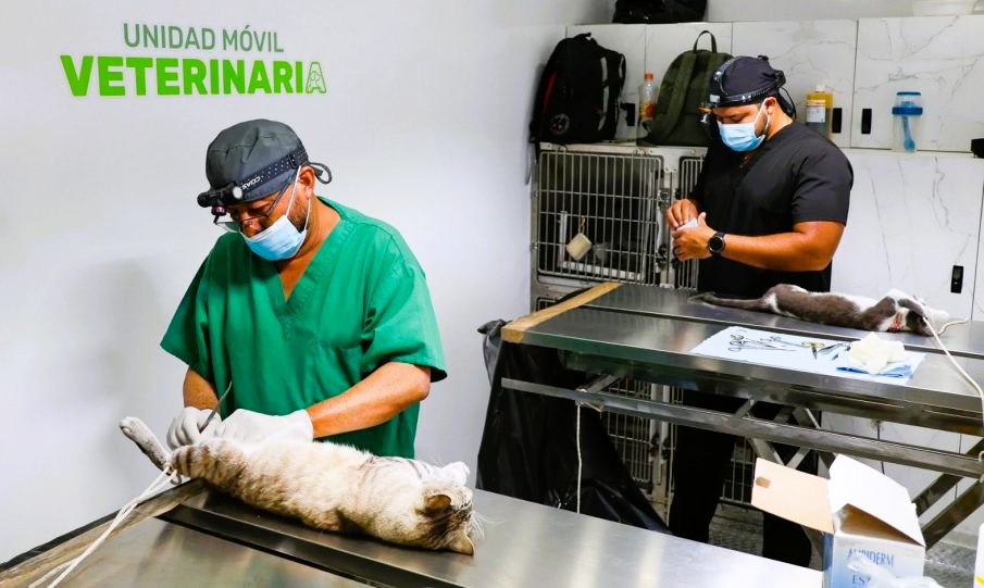 Unidad-movil-de-veterinaria-905x613