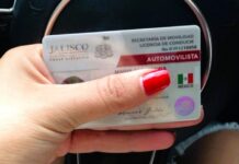 Jalisco Driver’s License Fees and Requirements for 2026