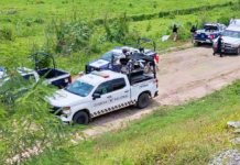 Body Found on Rural Road Near Puerto Vallarta Triggers Multi-Agency Response