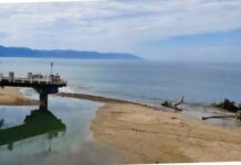 Experts: Protecting Vallarta’s Beaches Requires More Than Cleanups