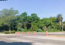 Broken Traffic Lights on Busy Fluvial Vallarta Avenue Create Safety Risk