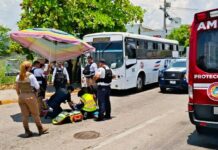 Woman Struck by Bus in Front of Plaza Marina, Taken to Hospital in Serious Condition