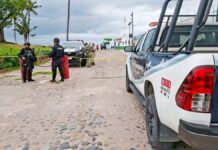 Canadian Citizen Found Dead Near Marina Vallarta Beaches