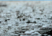 Hurricane Polo Raises Flood and Landslide Risks Across Jalisco
