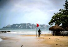 Search Continues for Tourist Missing in Puerto Vallarta Sea