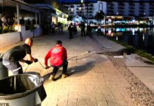 Two Crocodiles Captured in Marina Vallarta Following Citizen Reports