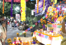 Puerto Vallarta Recovers From Hurricanes, Looks Ahead to Día de Muertos