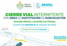 SEAPAL Work to Cause Intermittent Closures at Avenida México and Las Palmas